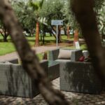 Gallery Thumbnail 13