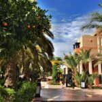 Gallery Thumbnail 16