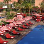 Gallery Thumbnail 20