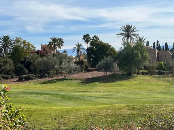 GOLF CLUB AMELKIS
